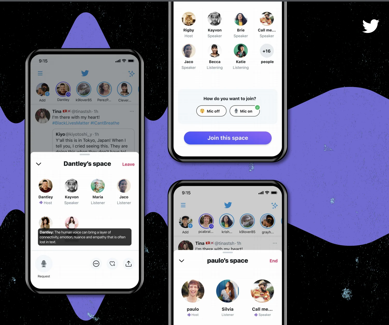 Twitter's Spaces feature for audio chats.