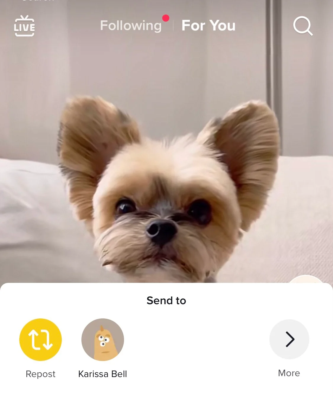 TikTok is testing a