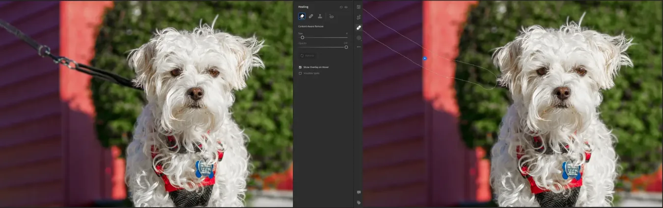 Adobe Lightroom 2022 introduce il mascheramento AI e la guarigione in base al contenuto