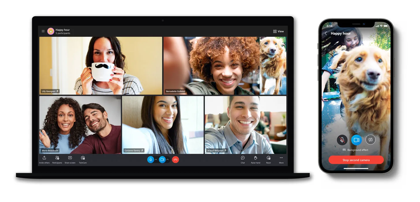 Skype TwinCam feature