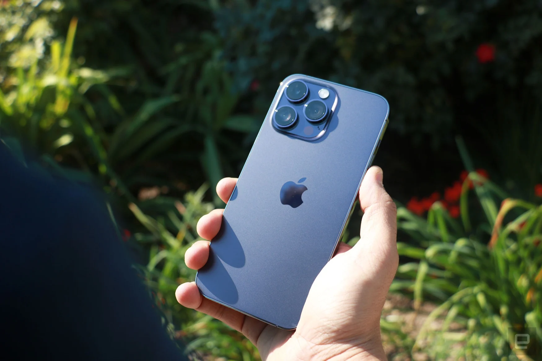 Review photography of the iPhone 14 Pro. It's in a person's right hand with the phone's back facing the camera. Western US Greenery blurred in the background behind.