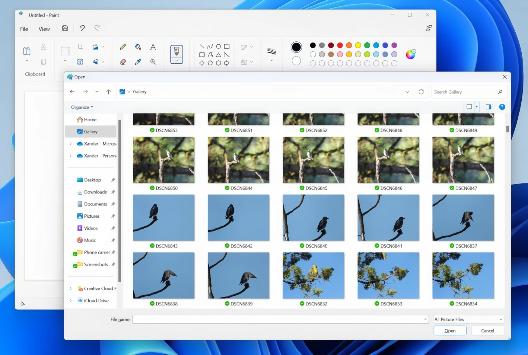 Screenshot of the Windows 11 file picker, showing the Gallery highlighted in the navigation panel (left side of Explorer window), with an array of image thumbnails in the main window. Microsoft Paint (the app calling up the file-picker) is open behind the picker window.