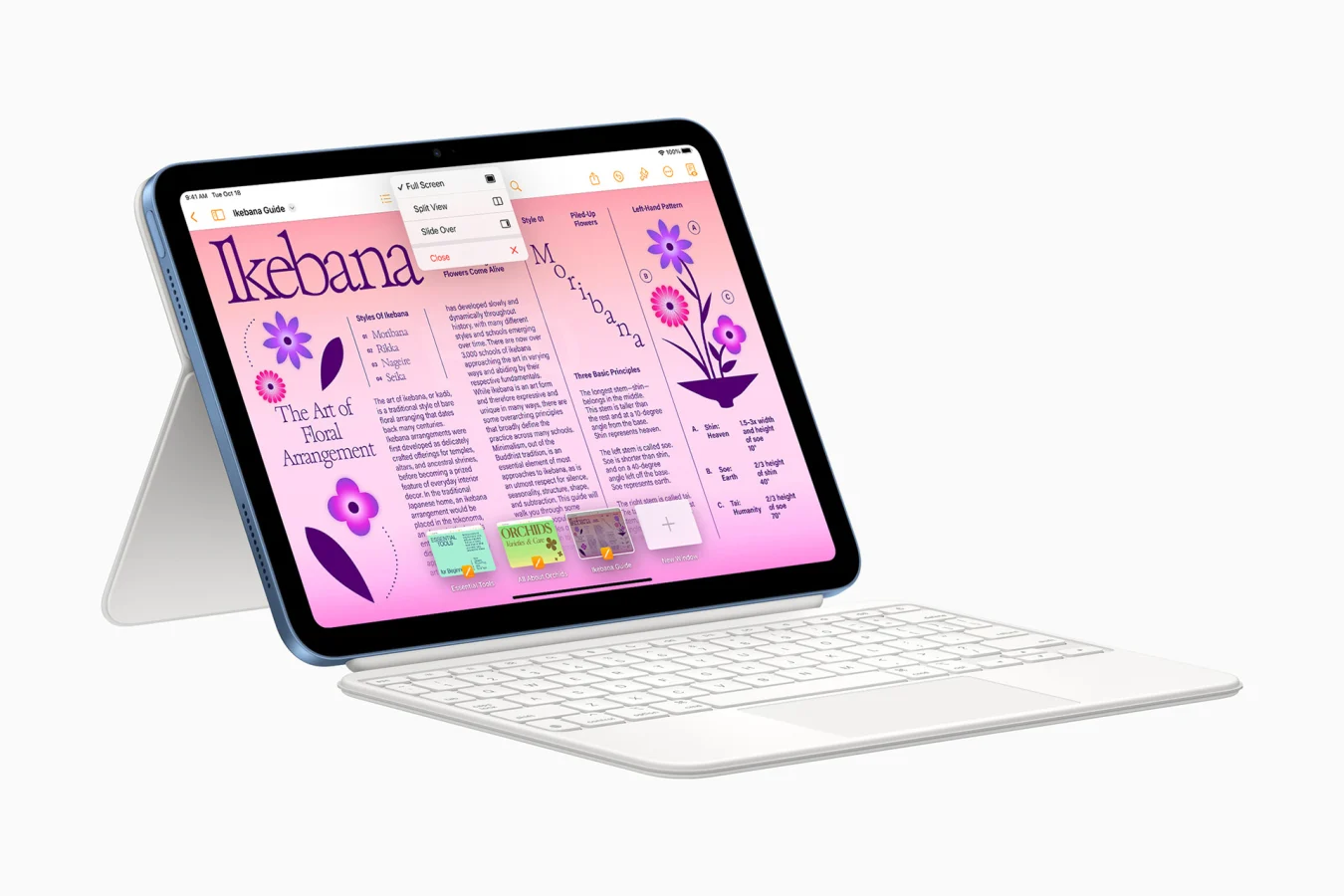 Apple iPad Magic Keyboard Folio