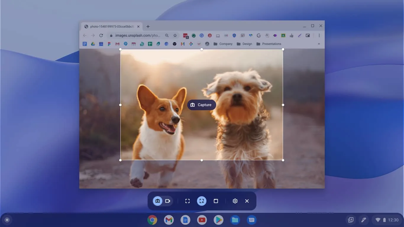 A screenshot of the screenshot tools built into Chrome OS, showing a user capturing a portion of an open window with a photo of two dogs in it. 