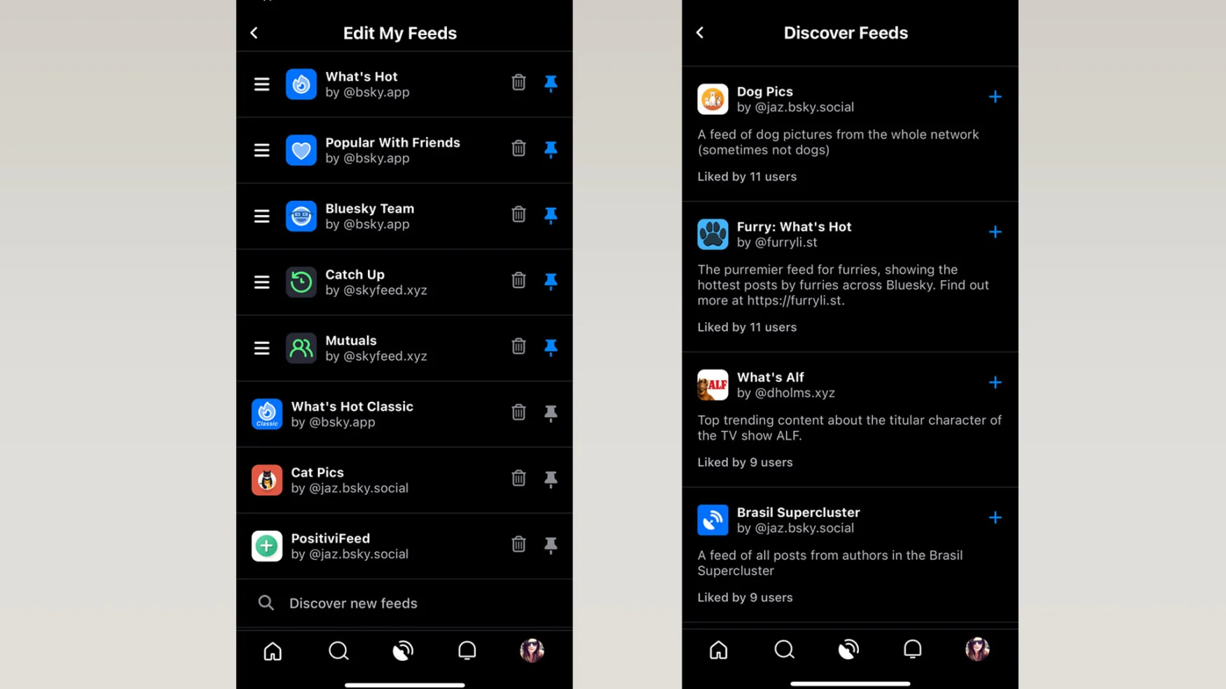 Screenshot if the Bluesky app with custom feeds.`