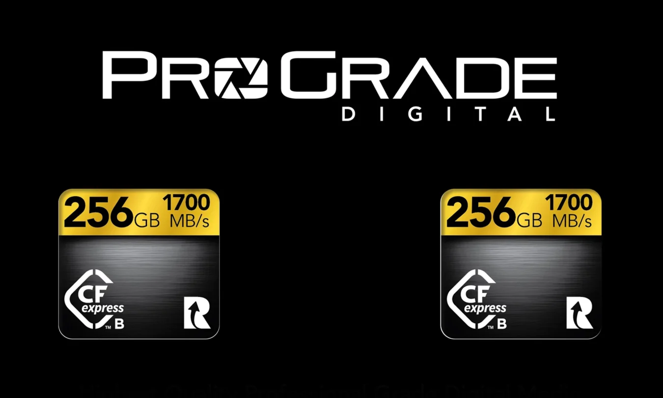 ProGrade 256GB CFexpress 2.0 Type B Gold