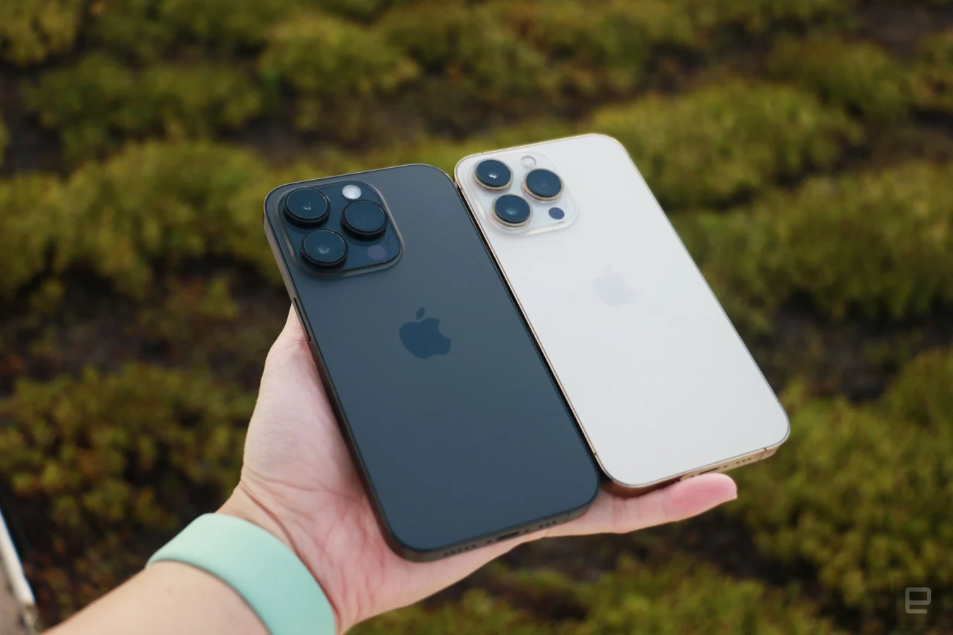 A black iPhone 14 Pro and gold iPhone 13 Pro held next to each other in one hand, against a background of green leaves.