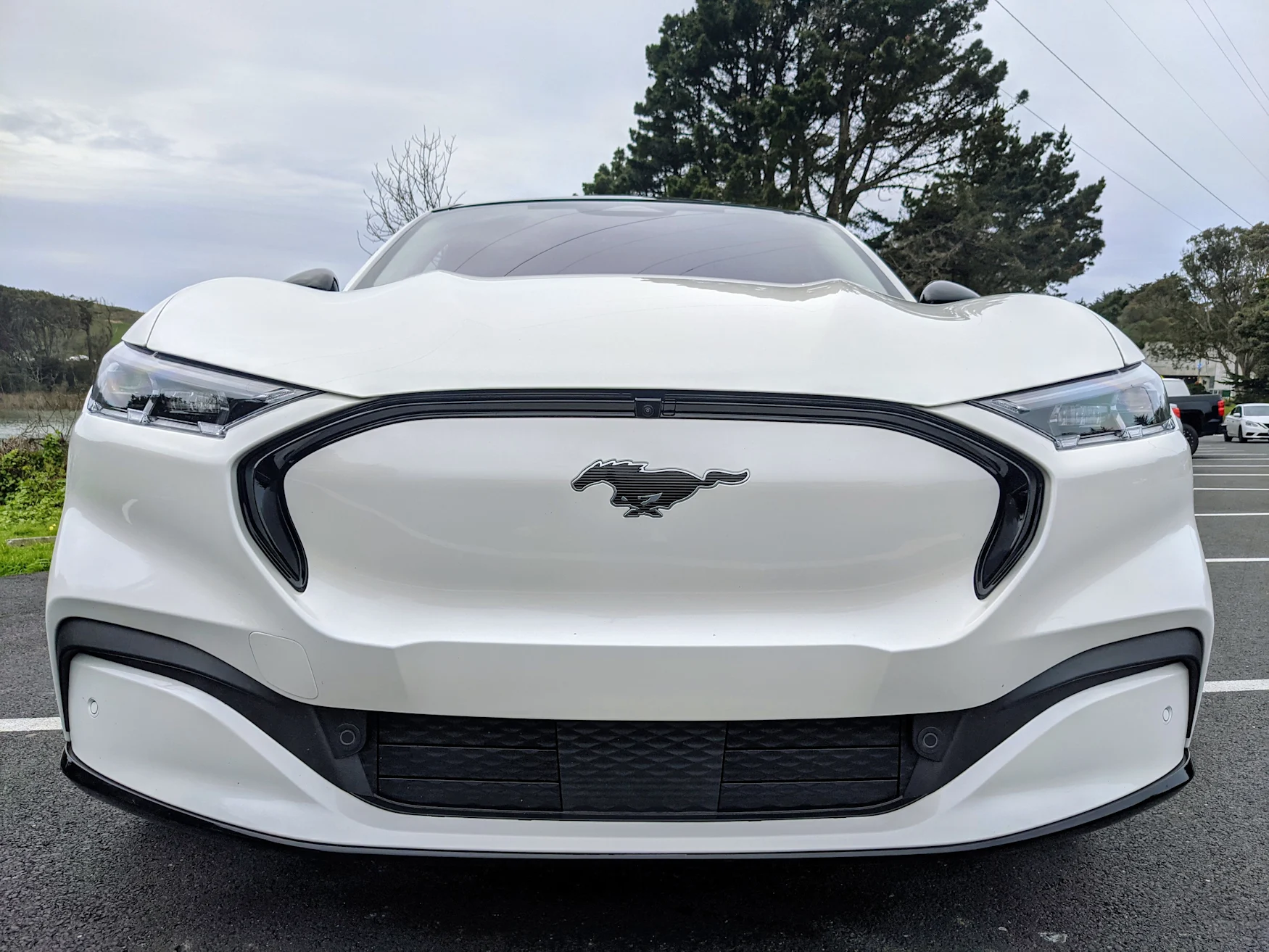 Mach-E front grille