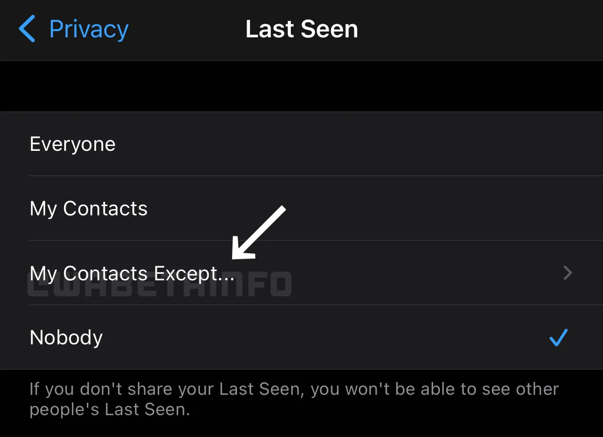 WhatsApp will let you block your 'last seen' status contact by contact