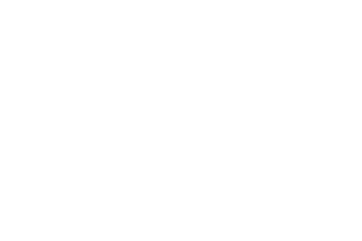 A drawing of a tapir