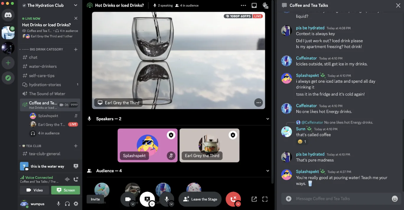 Screenshot of a Stage Channel in Discord showing video feeds, audience members, a text chat box and a list of rooms in the server.