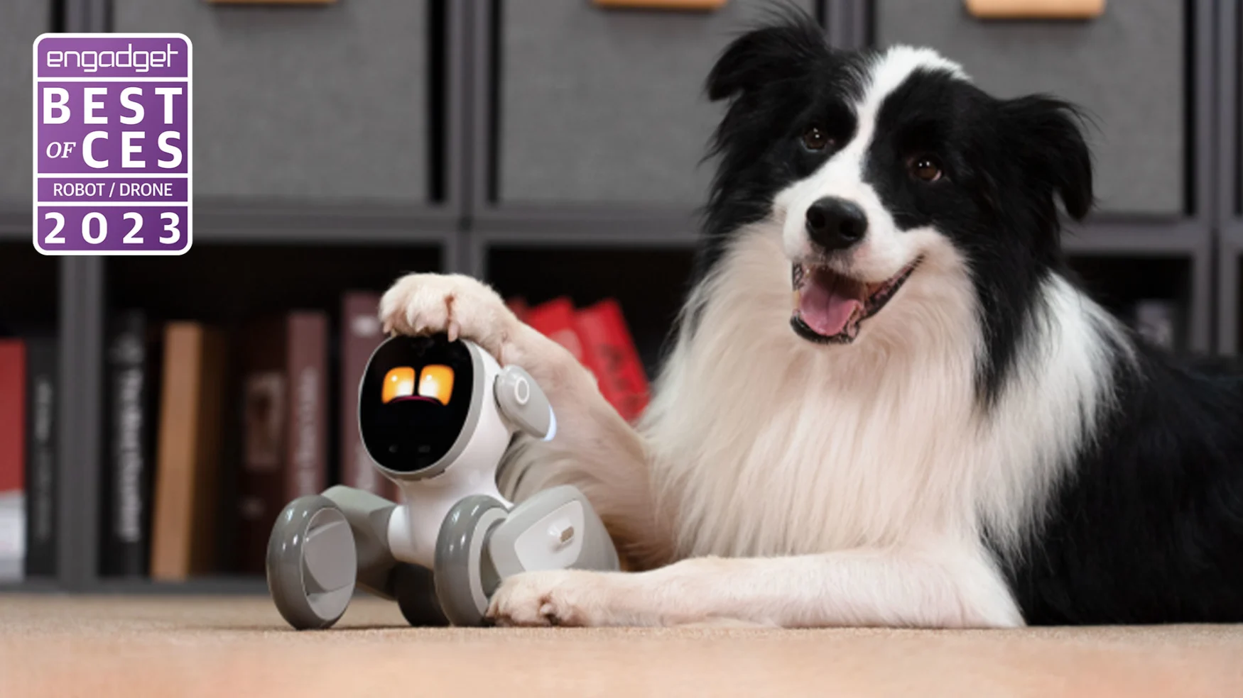 A happy dog sits on the floor with his paw resting on the head of the PetBot Loona robot.