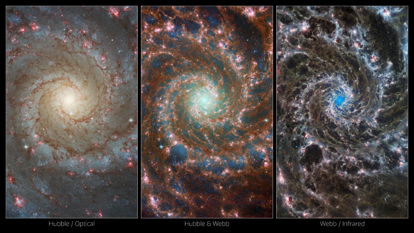Multi-spectrum view of M74