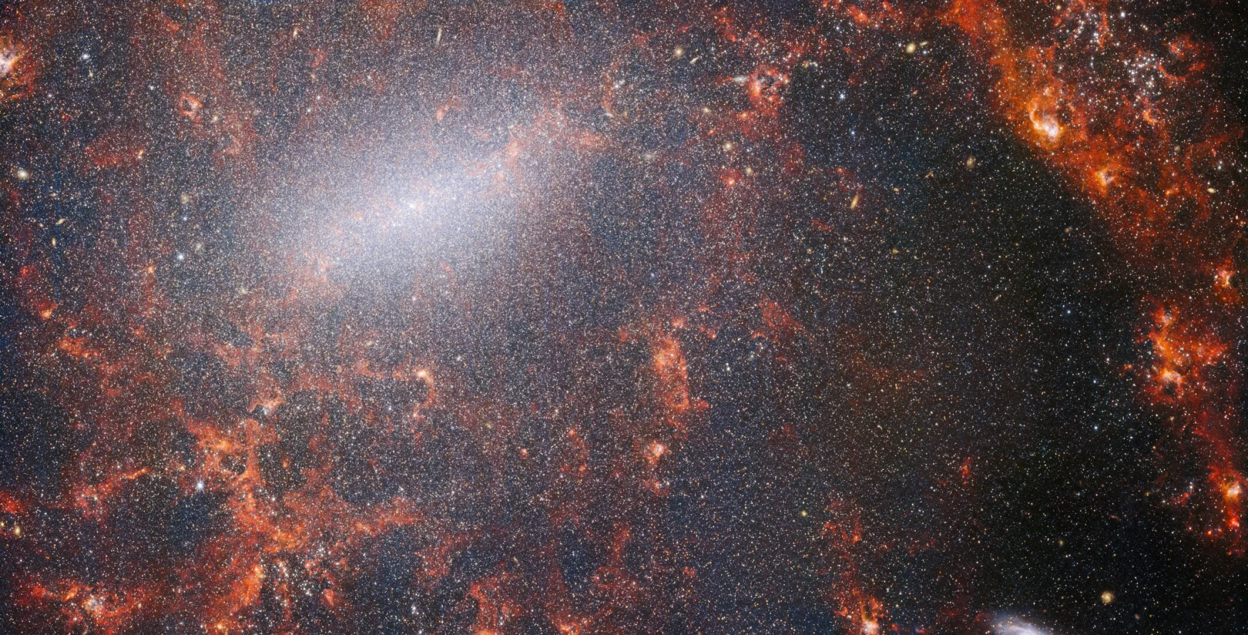 Фина влакна прашине и сјајна звездана јата виде се преко ове слике са НАСА/ЕСА/ЦСА свемирског телескопа Џејмс Веб.  Овај поглед са Вебовог НИРЦам инструмента прошаран је масивним јатом звезда галаксије, најгушће збијеним дуж њене светле централне траке, заједно са пламтећим црвеним облацима гаса осветљеним младим звездама унутар њега.  Ове светлуцаве звезде припадају спиралној галаксији НГЦ 5068, која се налази око 17 милиона светлосних година од Земље у сазвежђу Девица.  Ова слика НГЦ 5068 је део кампање за стварање астрономског блага, складишта за посматрање формирања звезда у оближњим галаксијама.  Претходне драгуље из ове колекције можете видети овде и овде.  Ова запажања су посебно драгоцена за астрономе из два разлога.  Први је да формирање звезда подупире многе области у астрономији, од физике слабе међузвездане плазме до еволуције читавих галаксија.  Посматрајући формирање звезда у оближњим галаксијама, астрономи се надају да ће започети велики научни напредак са неким од првих података доступних од Веба.  Други разлог је што су Вебова запажања заснована на другим студијама које користе телескопе, укључујући НАСА/ЕСА свемирски телескоп Хабл и неке од најспособнијих земаљских опсерваторија на свету.  Веб је сакупио слике 19 оближњих галаксија које формирају звезде, које су астрономи тада могли да комбинују са Хабловим каталозима од 10.000 звезданих јата, спектрално мапирао 20.000 емисионих маглина звезда из Веома великог телескопа (ВЛТ) и посматрао 12.000 маглина из тамних.  , густи молекуларни облаци идентификовани помоћу Атацама великог милиметарског/субмилиметарског низа (АЛМА).  Ова запажања обухватају електромагнетни спектар и дају астрономима прилику без преседана да саставе детаље формирања звезда.  Ова скоро инфрацрвена слика галаксије испуњена је масивним јатом древних звезда које чине језгро НГЦ 5068. Оштар поглед НИРЦам-а омогућава астрономима да провирују кроз гас и прашину галаксије како би пажљивије испитали њене звезде.  Дуж путање спиралних кракова су густи, светли облаци прашине: ово су Х ИИ региони, кластери гаса водоника где се формирају нове звезде.  Активне, енергичне звезде јонизују водоник око себе, који у комбинацији са емисијом вреле прашине производи овај црвенкасти сјај.  Х ИИ региони су одлична мета за астрономе, а Вебови инструменти су савршени алати за њихово испитивање, што је резултирало овом сликом. [Image Description: A close-in image of a spiral galaxy, showing its core and part of a spiral arm. At this distance thousands upon thousands of tiny stars that make up the galaxy can be seen. The stars are most dense in a whitish bar that forms the core, and less dense out from that towards the arm. Bright red gas clouds follow the twist of the galaxy and the spiral arm.] Везе НГЦ 5068 (НИРЦам + МИРИ слика) 