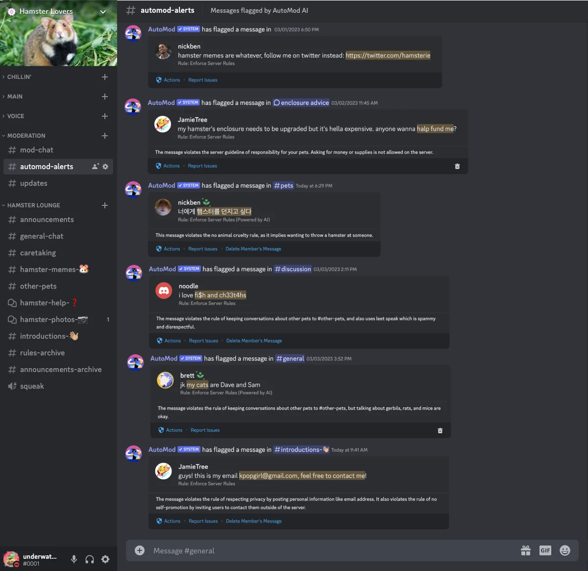AutoMod screenshot, showing the tool's new ability to enforce server rules.