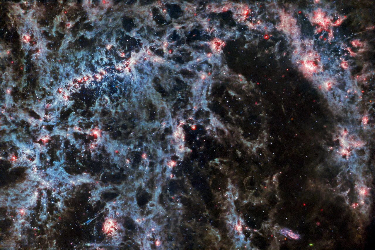 Auf diesem Bild des NASA/ESA/CSA-Weltraumteleskops James Webb sind feine Staubfäden und helle Sternhaufen zu sehen.  Auf diesem Bild von Webbs MIRI-Instrument fallen besonders die staubige Struktur der Spiralgalaxie und die leuchtenden Gasblasen mit neu entstehenden Sternhaufen auf.  Diese hellen Gasranken gehören zur Barriere-Spiralgalaxie NGC 5068, die sich etwa 17 Millionen Lichtjahre von der Erde entfernt im Sternbild Jungfrau befindet.  Dieses Bild von NGC 5068 ist Teil einer Kampagne zur Schaffung einer astronomischen Schatzkammer, einer Sammlung für Beobachtungen der Sternentstehung in nahegelegenen Galaxien.  Frühere Juwelen dieser Sammlung können Sie hier und hier sehen.  Diese Beobachtungen sind für Astronomen aus zwei Gründen besonders wertvoll.  Das erste ist, dass die Sternentstehung vielen Bereichen der Astronomie zugrunde liegt, von der Physik schwacher interstellarer Plasmen bis hin zur Entwicklung ganzer Galaxien.  Durch die Beobachtung der Sternentstehung in nahegelegenen Galaxien hoffen Astronomen, mit einigen der ersten von Webb verfügbaren Daten einen großen wissenschaftlichen Fortschritt zu erzielen.  Der zweite Grund ist, dass Webbs Beobachtungen auf anderen Studien mit Teleskopen basieren, darunter dem Hubble-Weltraumteleskop der NASA/ESA und einigen der leistungsfähigsten bodengestützten Observatorien der Welt.  Webb sammelte Bilder von 19 nahegelegenen Sternentstehungsgalaxien, die Astronomen dann mit Hubbles Katalogen von 10.000 Sternhaufen kombinieren konnten, kartierte 20.000 Sternemissionsnebel vom Very Large Telescope (VLT) spektral und beobachtete 12.000 dunkle Nebel.  , dichte Molekülwolken, die vom Atacama Large Millimeter/Submillimeter Array (ALMA) identifiziert wurden.  Diese Beobachtungen umfassen das elektromagnetische Spektrum und bieten Astronomen eine beispiellose Gelegenheit, die Details der Sternentstehung herauszufinden.  Drei Asteroidenspuren durchdringen dieses Bild und erscheinen als kleine blaue, grüne und rote Punkte.  Asteroiden erscheinen in solchen astronomischen Bildern, weil sie einem Teleskop viel näher sind als einem entfernten Ziel.  Wenn Webb viele Bilder des Asteroiden aufnimmt, bewegt sich der Asteroid, sodass er in jedem Bild an einer etwas anderen Stelle erscheint.  Sie sind auf Bildern wie diesem von MIRI besser sichtbar, da viele Sterne im mittleren Infrarotbereich nicht so hell sind wie im nahen Infrarotbereich oder im sichtbaren Licht, sodass Asteroiden neben Sternen gut zu erkennen sind.  Eine Spur befindet sich direkt unter der Galaxienleiste, die anderen beiden befinden sich in der unteren linken Ecke – können Sie sie erkennen? [Image description: A close-in image of a spiral galaxy, showing its core and part of a spiral arm. A few bright stars are visible throughout it, concentrated in the barred core. Clumps and filaments of dust thread through it, forming an almost skeletal structure that follows the twist of the galaxy and its spiral arm. Large, glowing bubbles of red gas are hidden in the dust.] Links NGC 5068 (MIRI + NIRCam-Bild) NGC 5068 (NIRCam-Bild) Schieberegler (MIRI- und NIRCam-Bilder) Video: Schwenk von NGC 5068 Video: Webbs Ansichten von NGC 5068 (MIRI- und NIRCam-Bilder) Video: Vergrößern von NGC 5068 
