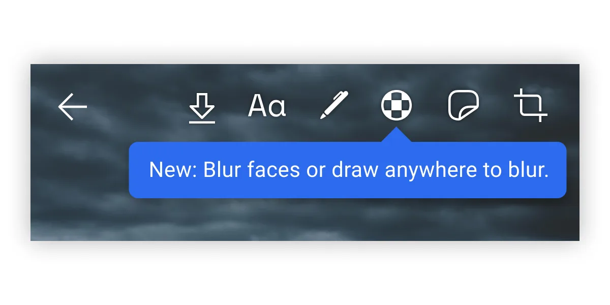 Signal face blurring toolbar
