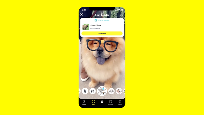 Snapchat's camera can identify dog breeds.
