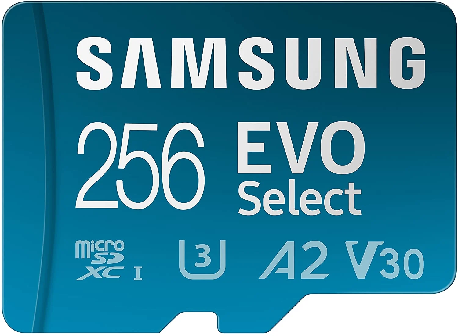 Samsung EVO Select 256 GB microSD-kaart