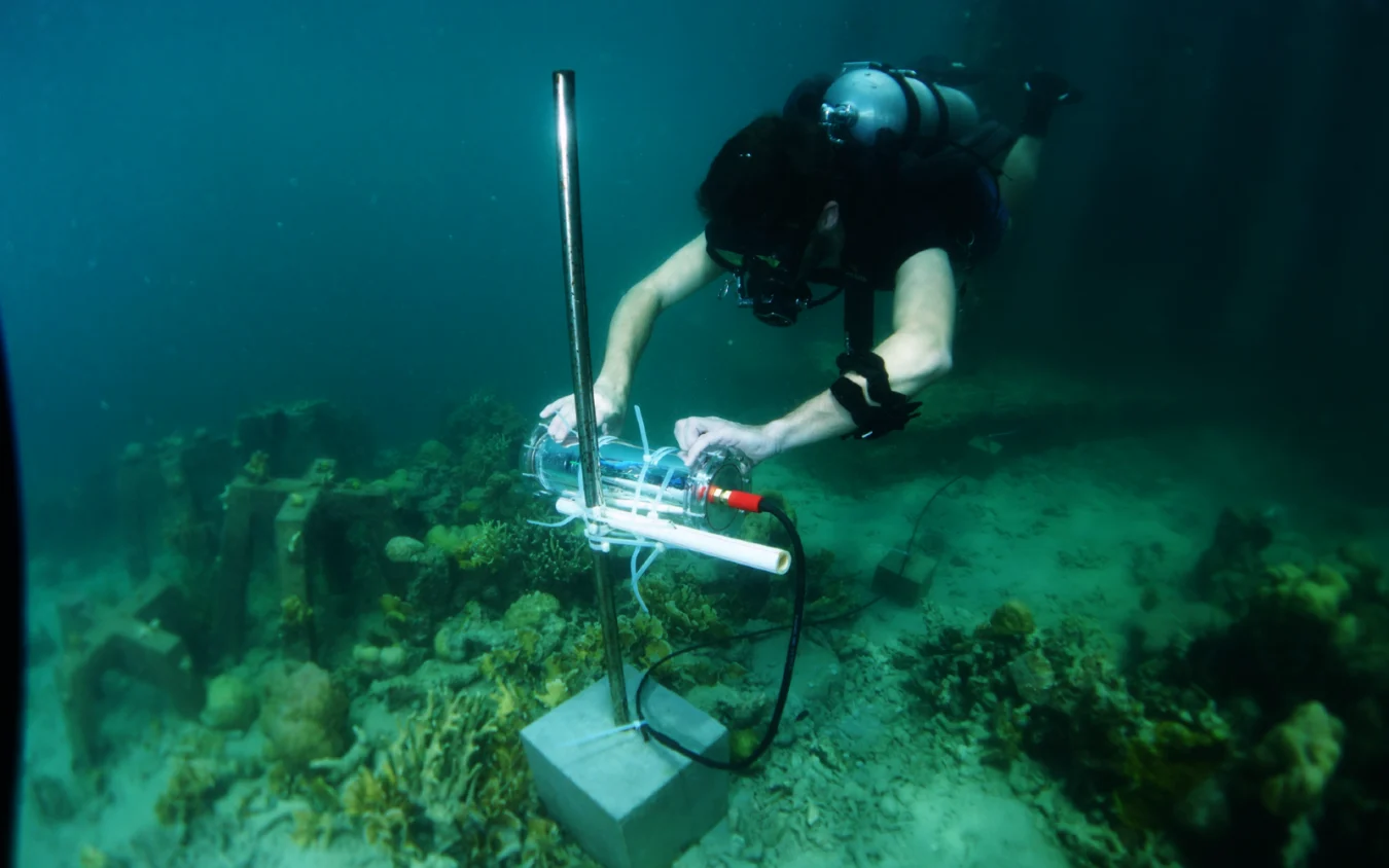 A diver installs a CORaiL AI-powered video camera.