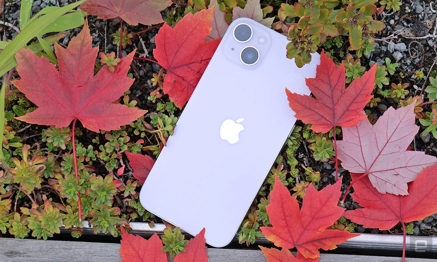 Apple iPhone 14 Plus review: It's an iPhone, but bigger