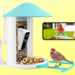 Yes, you can buy a smart bird feeder at Amazon — capture feathered friends on camera!