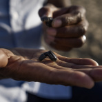 Over-the-counter hearing aids go on sale in the US