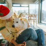 The best gifts for dog lovers, according to people who pamper their own pooches