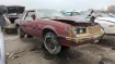 Junked 1981 Ford Mustang Coupe