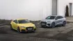 Audi Python Yellow and Dew Silver matte colors