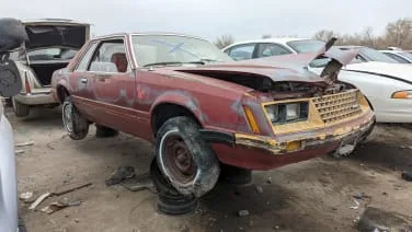 Junkyard Gem: 1981 Ford Mustang Coupe