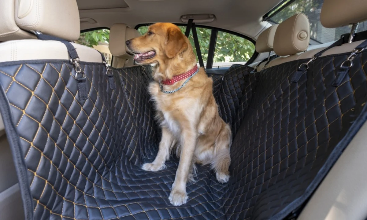 Best Dog Car Seat Covers (Review) in 2022 - Autoblog Commerce
