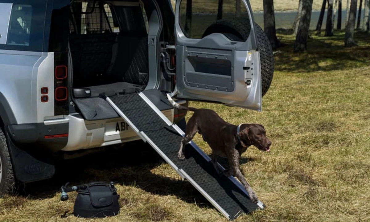 2020 Land Rover Defender features accessories for hauling your dog -  Autoblog