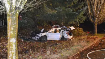 Tesla Model 3 crash in Corvallis, Oregon
