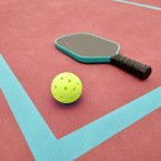 Need a gift for a pickleball fan? This charming read is a 'slam dink'